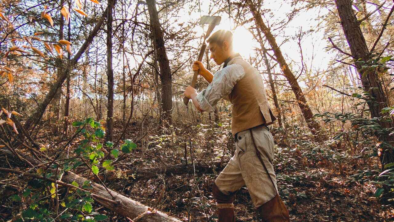 Best Tree Trimming and Pruning  in Texkana, AR